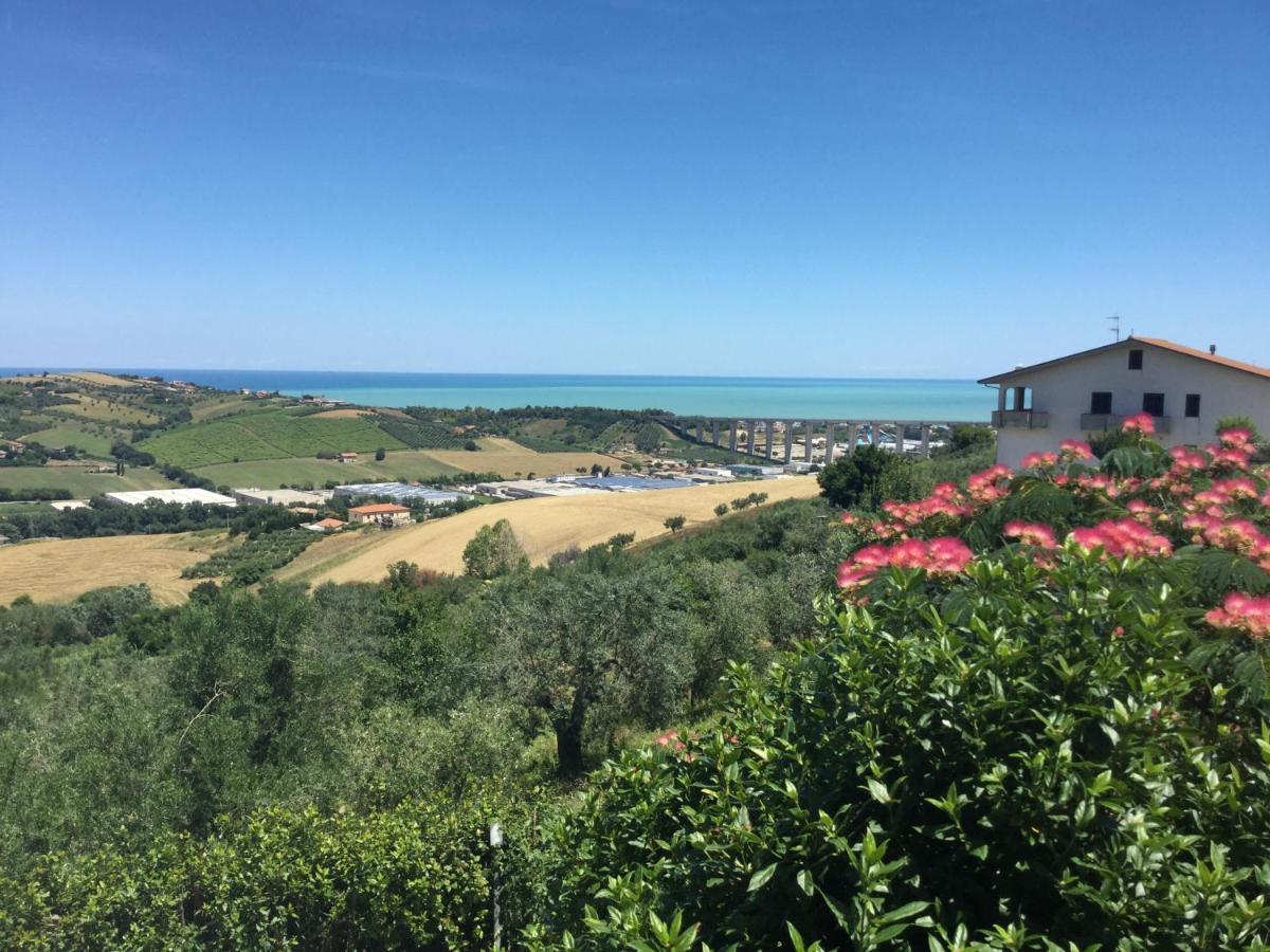 Ellebi B&B Montone  외부 사진